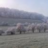 20181226_090824