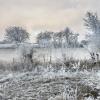 20181226_094100-HDR