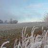 20181226_094410