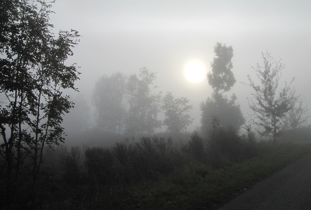 brume matinale