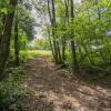 sentier D82_1671