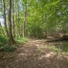sentier D82_1672