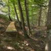 passerelle D82_1684