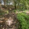 le ruisseau D82_1698