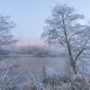 givre D82_3348