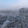 givre D82_3360