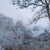 givre D82_3363
