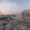 givre D82_3367
