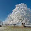 givre DS2_0764