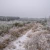 DS2_0901