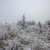 DS2_0970
