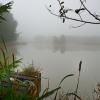 etang de brume matinale DSC_3582