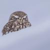 Dsc 4540 dxo