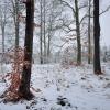 neige DSC_5586