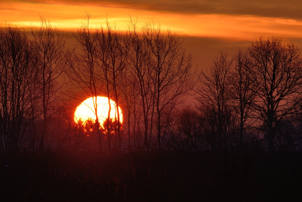 lever de soleil hivernal DSC_5913