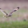 Dsc 8280 dxo