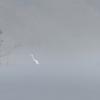 aigrette DX5_2877-Panorama