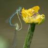 DX5_5708