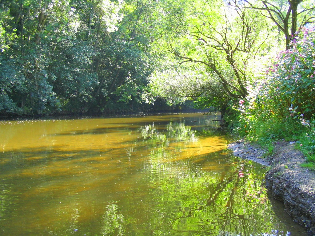 sur les bords de la Lesse