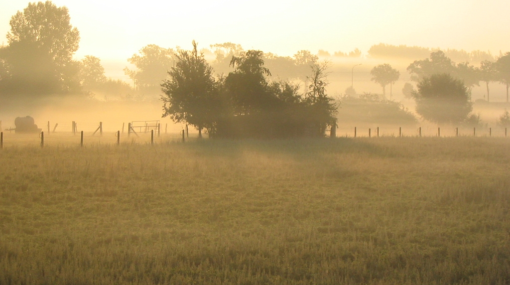 prairies d'ollignies dans la brume