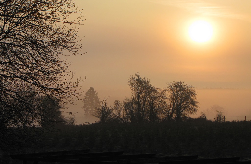 brume au levé du jour